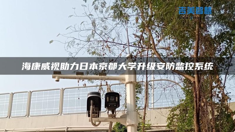 门禁系统磁力锁：尺寸如何选择，关键因素揭秘**
